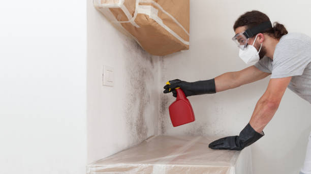 Professional Mold Cleanup technician working in Princeton, NC
