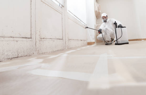 24/7 Emergency Mold Cleanup experts in Princeton, NC