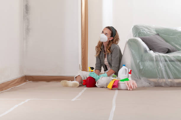 Reliable Mold Cleanup contractor in Princeton, NC by Cheap Mold Removal